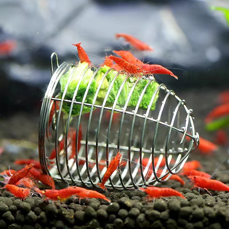 Aquarium Fish Price - Acuarium en acier inoxydable, petit appât