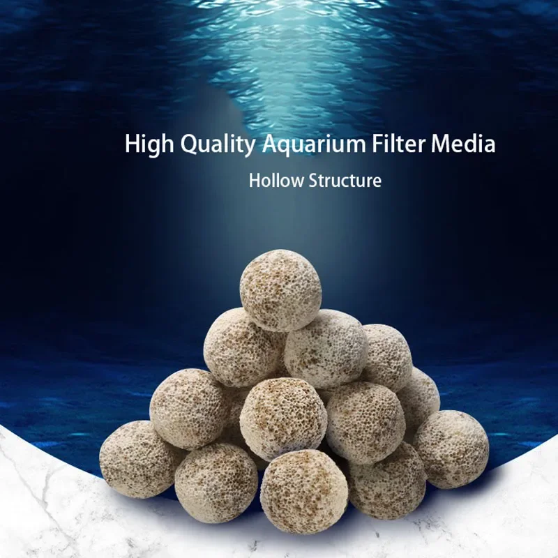 Aquarium Fish Quality - 10 pièces 20 pièces haute qualité
