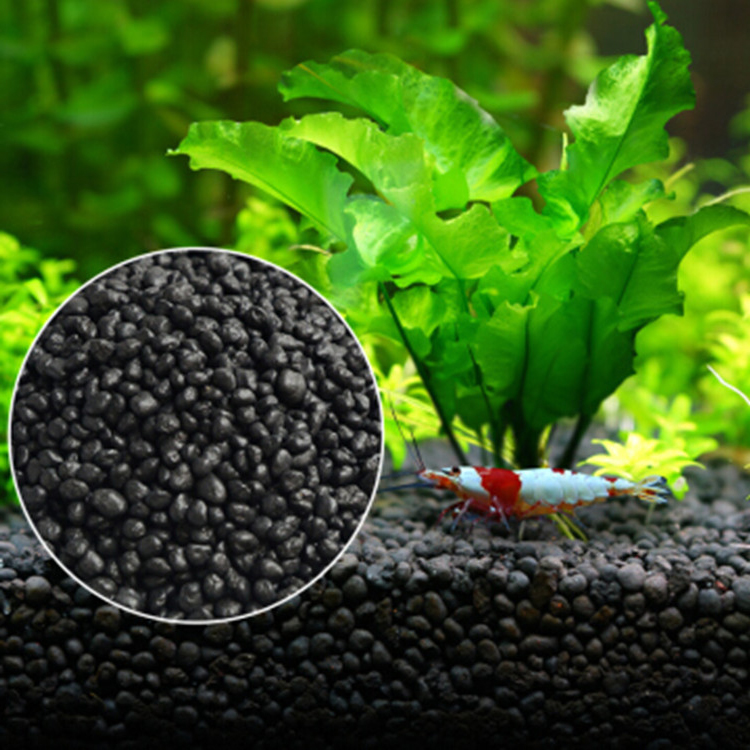 Aquarium Fish Price - Sol de graines de plantes d'aquarium,