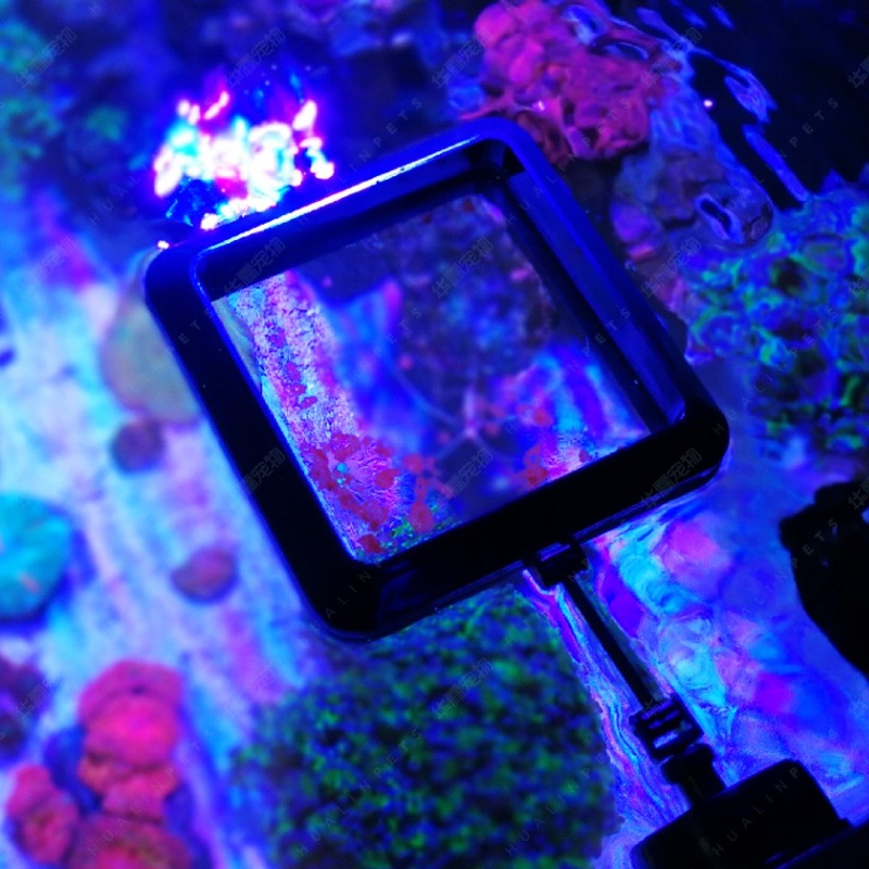 VASTOCEAN anneau d'alimentatio - Aquarium Fish Price avis et prix