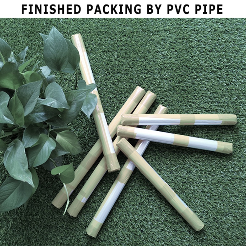 Lot de 3 impressions sur toile - Live Plant Fertilizer avis et prix