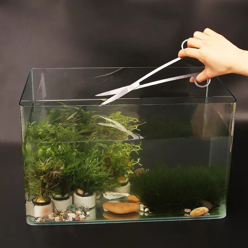 Kit d'outils d'aquarium popula - Aquarium Fish Popular avis et prix