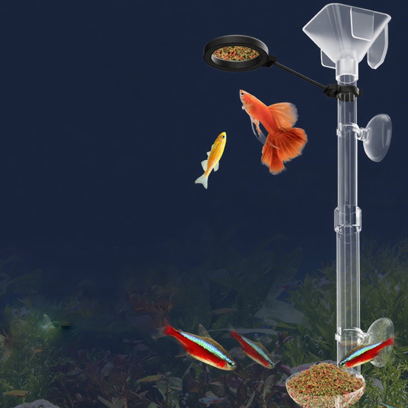 Mangeoire à poissons d'aquariu - Aquarium Fish Price avis et prix