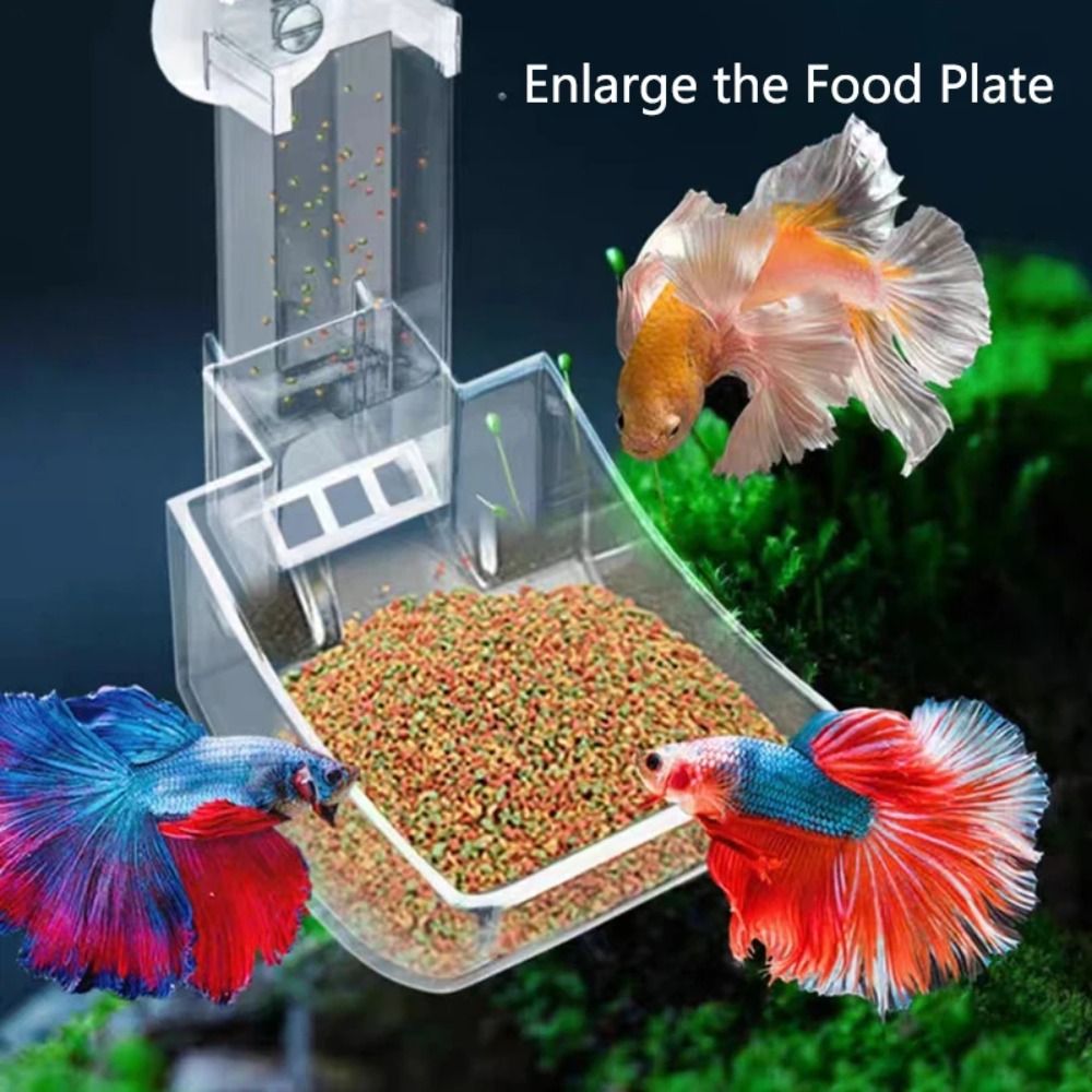 Nouveau Tube d'alimentation Tr - Aquarium Fish Price avis et prix