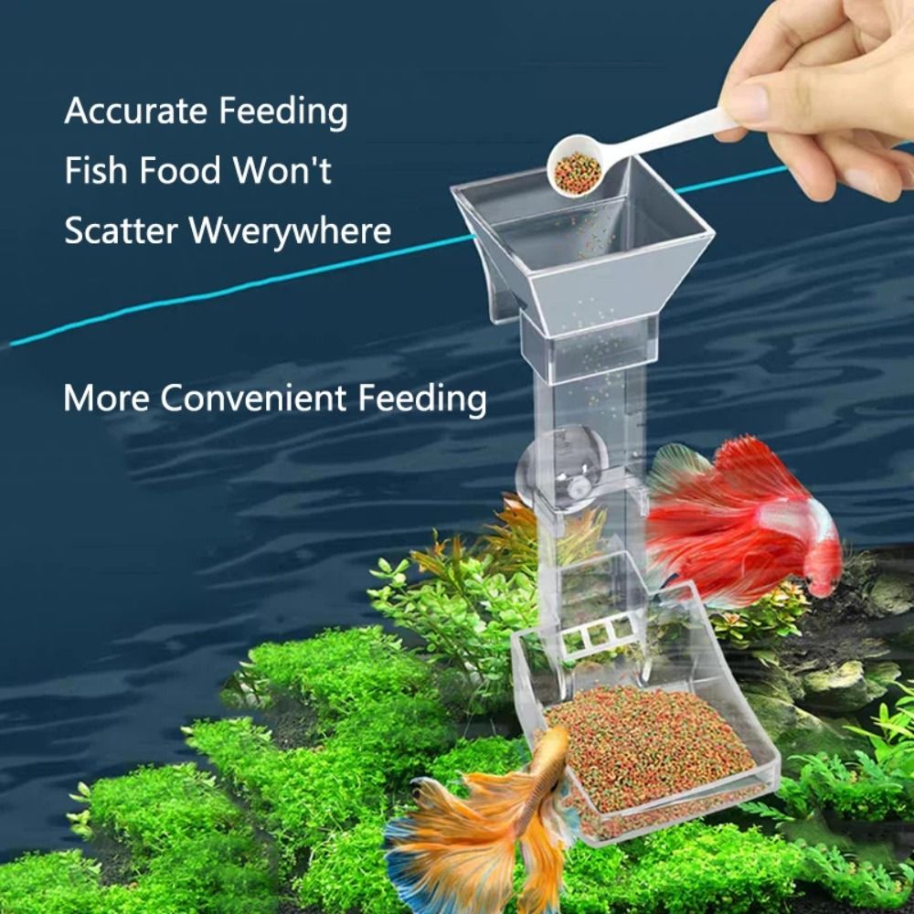 Nouveau Tube d'alimentation Tr - Aquarium Fish Price avis et prix