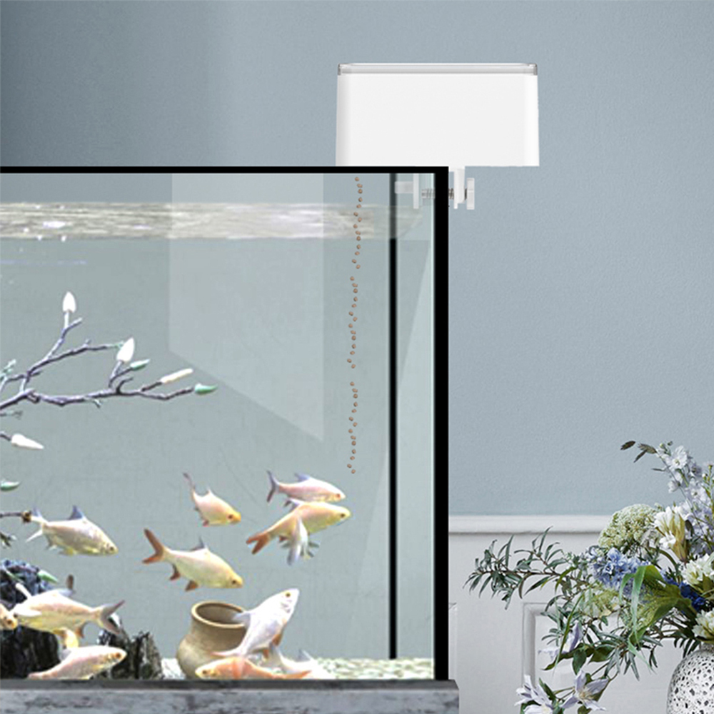 Mangeoire à poisson de grande  - Aquarium Fish Big avis et prix
