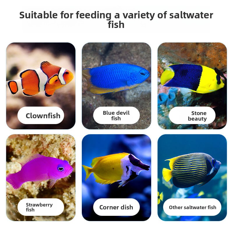DEERA Poisson Clown & Tang Foo - Aquarium Fish Price avis et prix