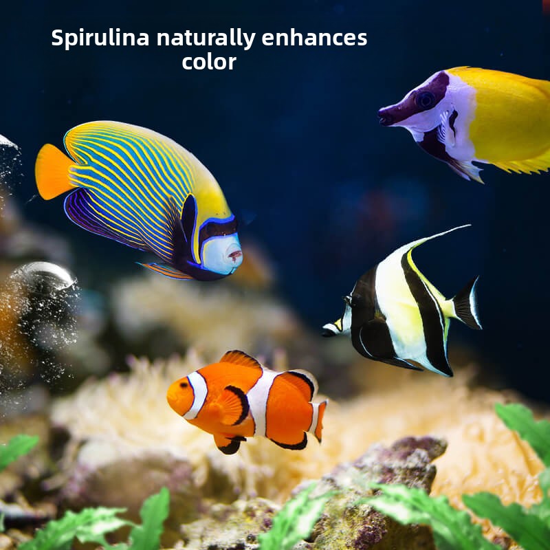 DEERA Poisson Clown & Tang Foo - Aquarium Fish Price avis et prix