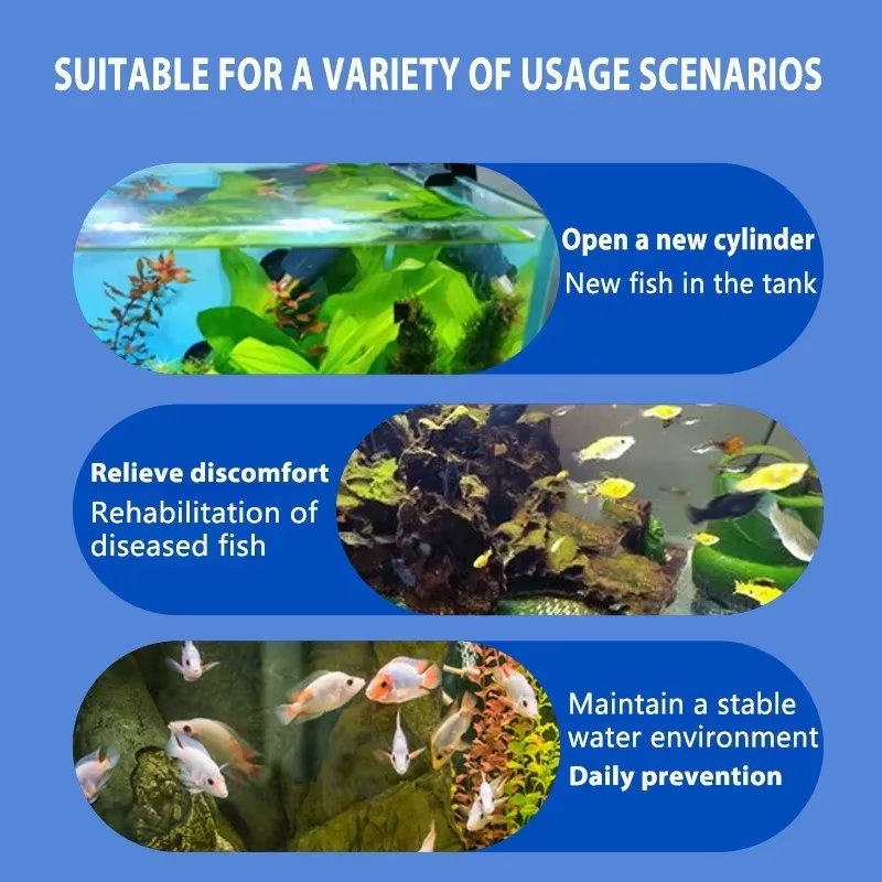 SIKEZHAN Traitement des maladi - Aquarium Fish Quality avis et prix