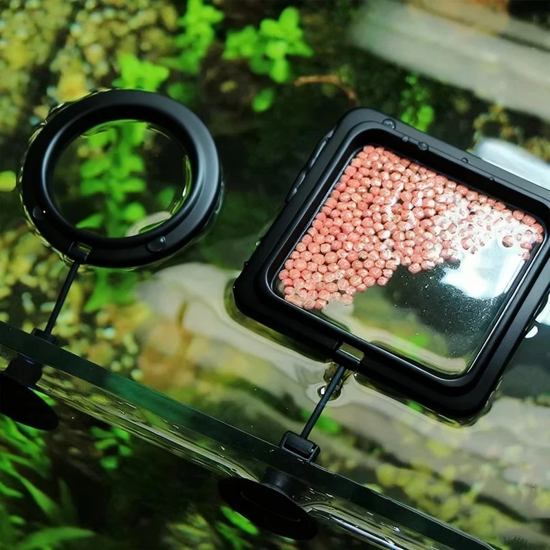 1/3 pièces Anneau d'alimentati - Aquarium Fish Price avis et prix