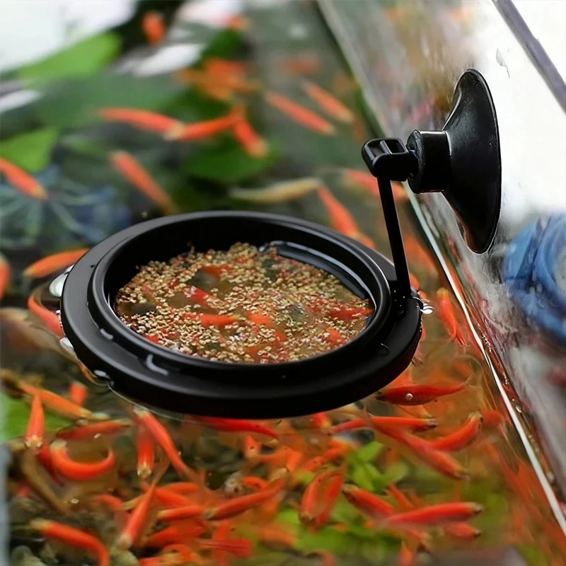 1/3 pièces Anneau d'alimentati - Aquarium Fish Price avis et prix