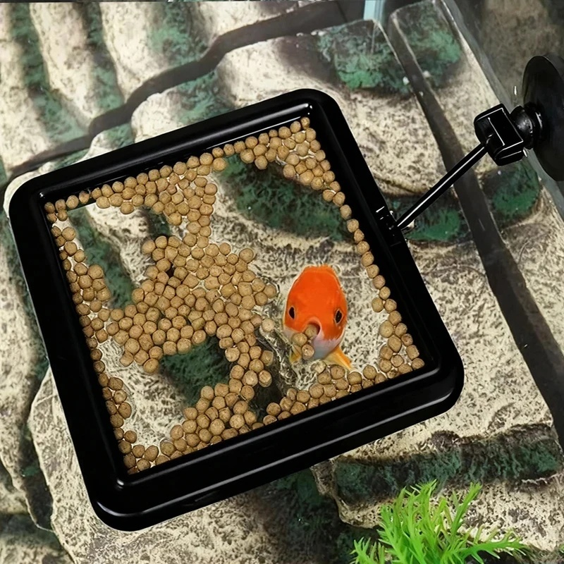 1/3 pièces Anneau d'alimentati - Aquarium Fish Price avis et prix