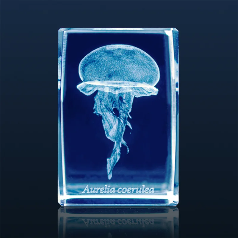 Gashapon Méduse 3D Clip Cuboïd - Aquarium Fish Japan avis et prix