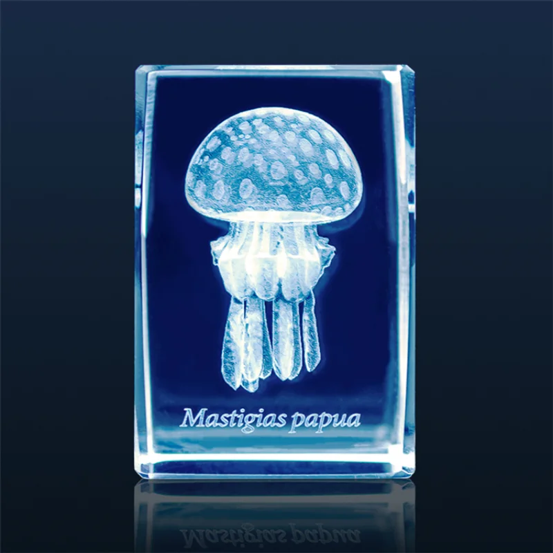 Gashapon Méduse 3D Clip Cuboïd - Aquarium Fish Japan avis et prix