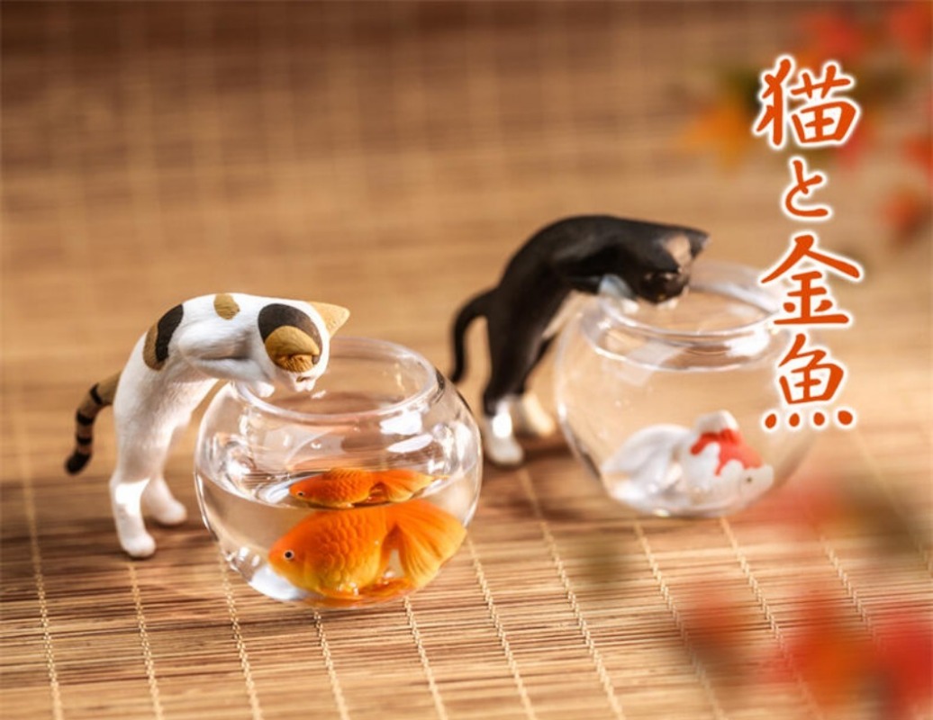 Capsule originale jouets migno - Aquarium Fish Japan avis et prix