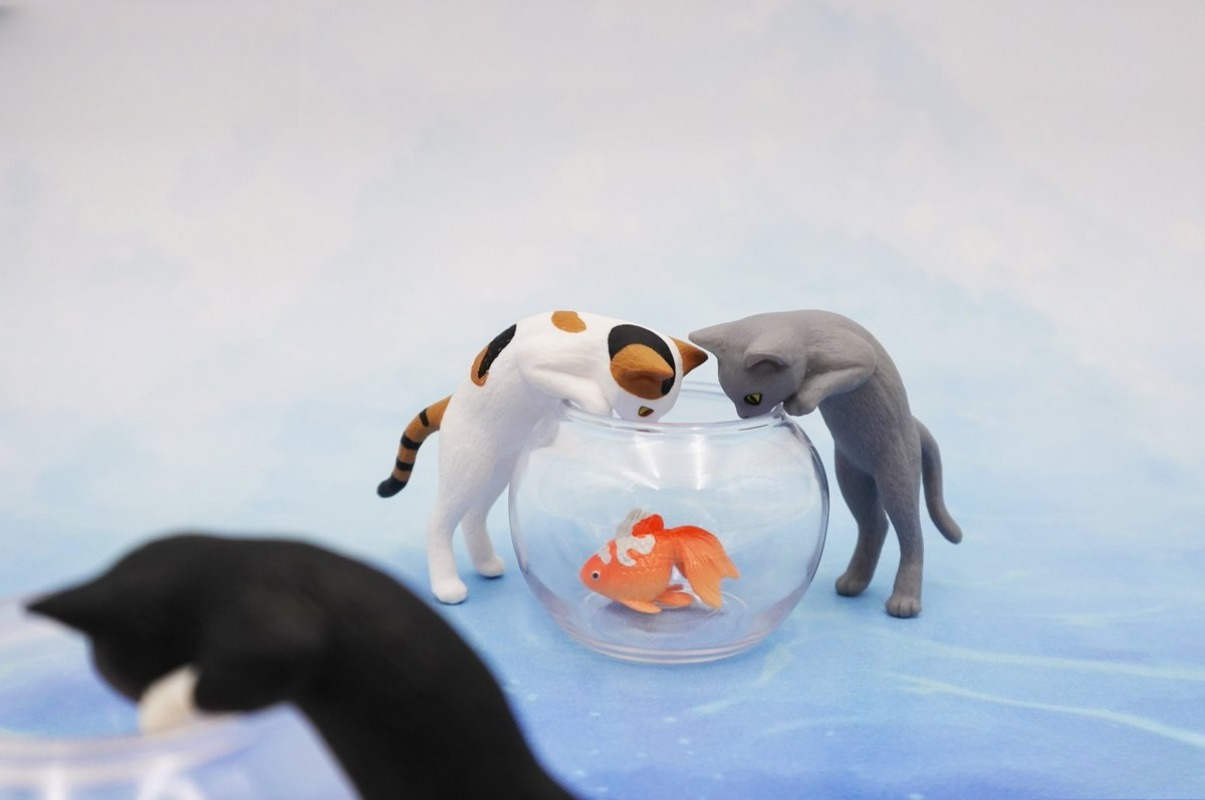 Capsule originale jouets migno - Aquarium Fish Japan avis et prix