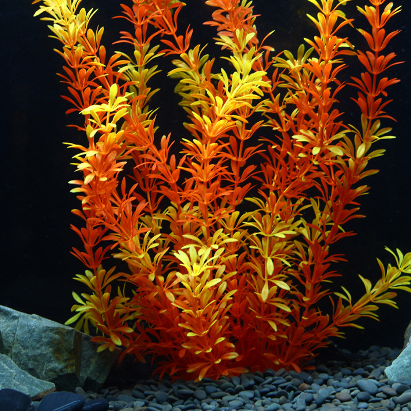 Plantes tropicales artificiell - Aquarium Fish Big avis et prix