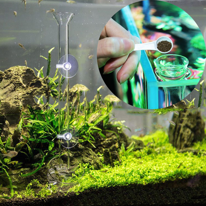 Tube d'alimentation en verre p - Aquarium Fish Price avis et prix