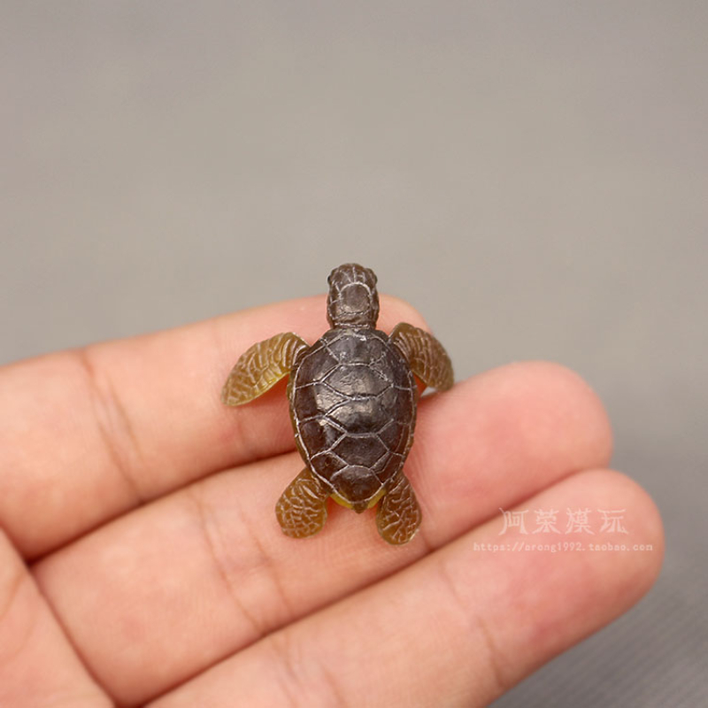 Modèle de tortue de mer de la  - Aquarium Fish Japan avis et prix