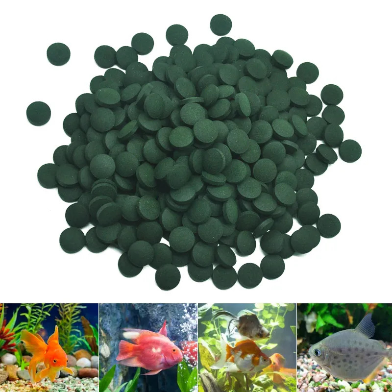 50-300 pièces comprimés de spi - Aquarium Fish Price avis et prix