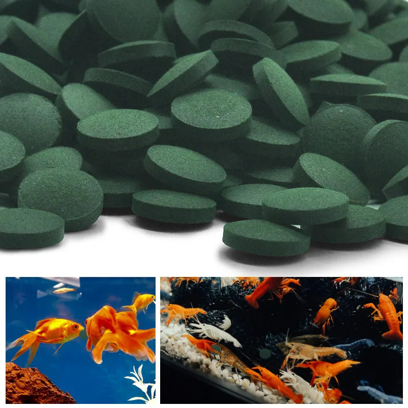 50-300 pièces comprimés de spi - Aquarium Fish Price avis et prix