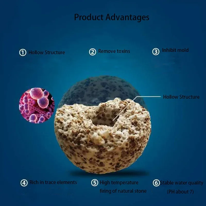 10 pièces 20 pièces haute qual - Aquarium Fish Quality avis et prix