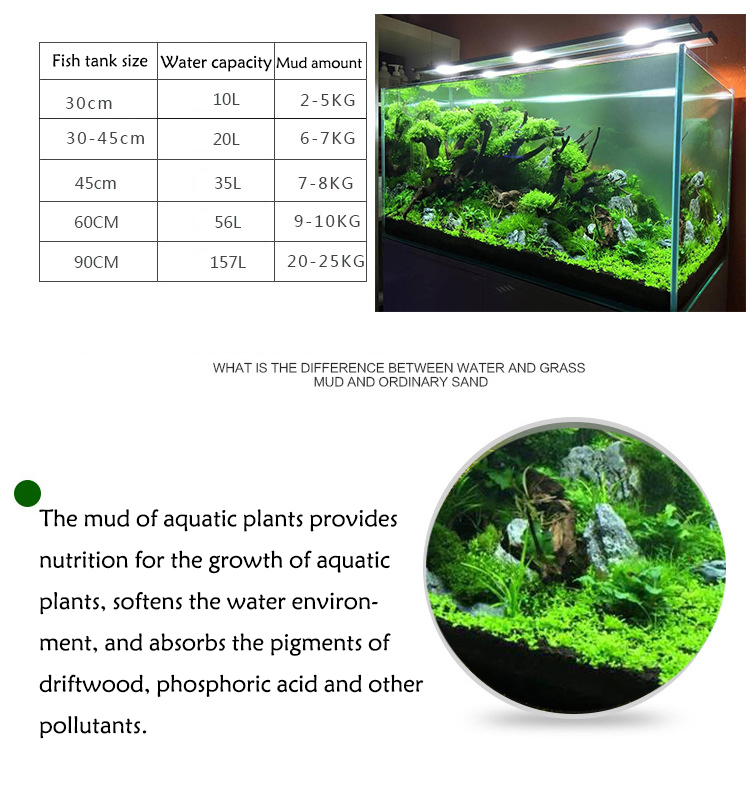 Sol de graines de plantes d'aq - Aquarium Fish Price avis et prix