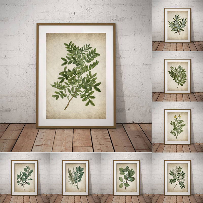 Affiche botanique vintage du c - Live Plant Fertilizer avis et prix