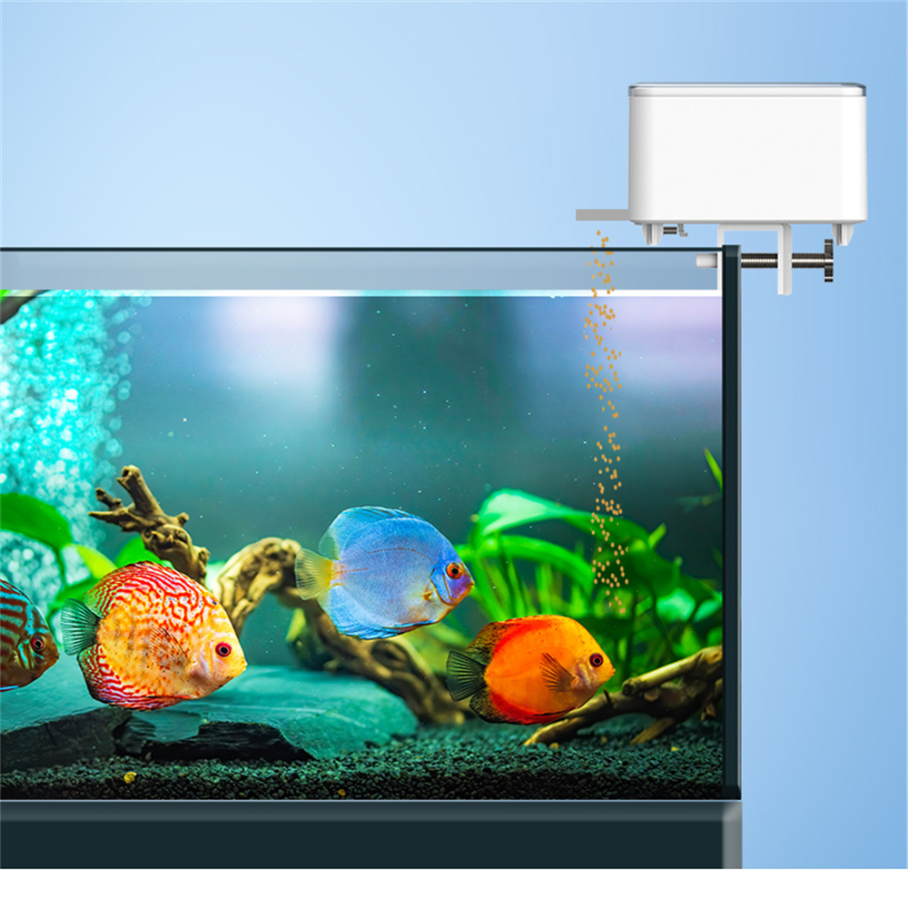 Mangeoire automatique intellig - Aquarium Fish Big avis et prix