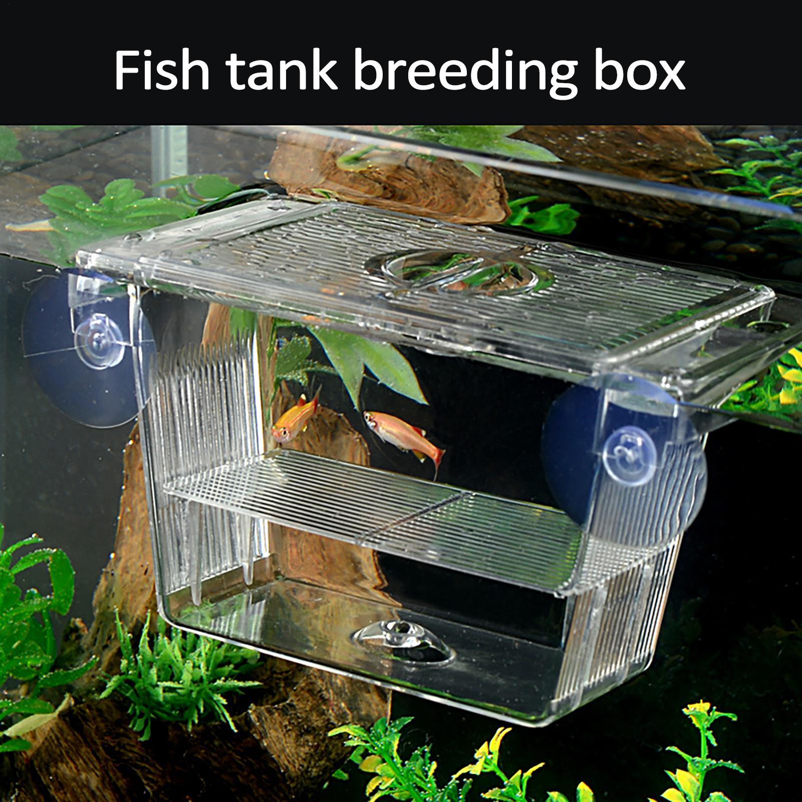 Boîte d'élevage transparente p - Fish Toy In Aquarium avis et prix