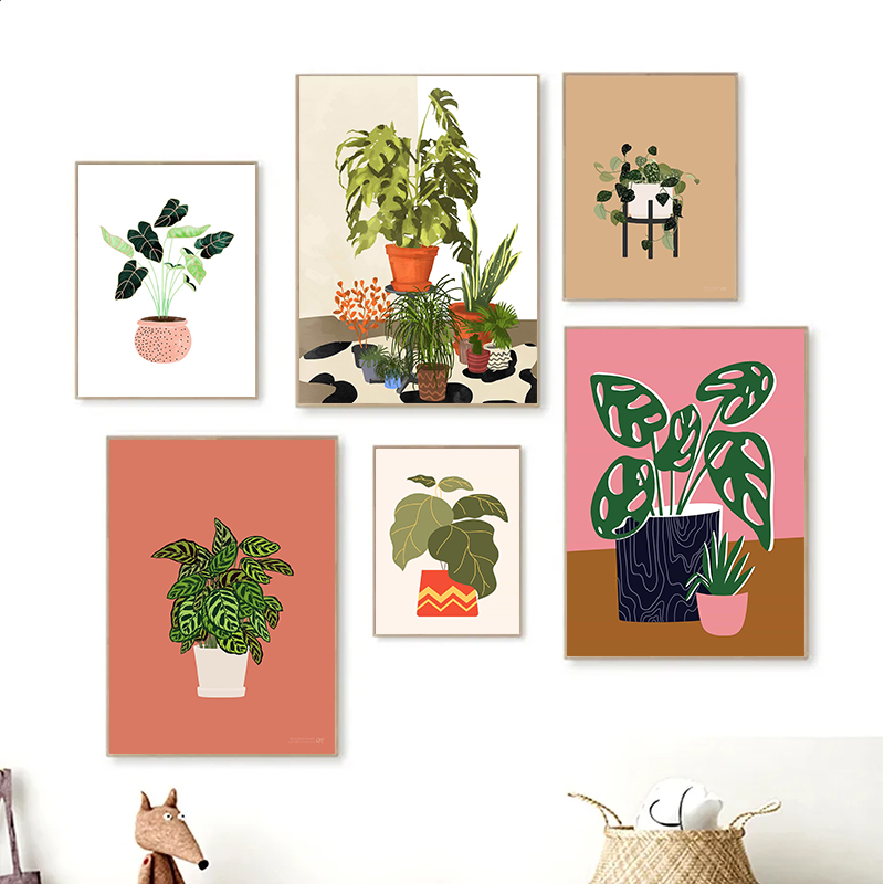 Boutique Cactus plante Monster - Live Plant Fertilizer avis et prix
