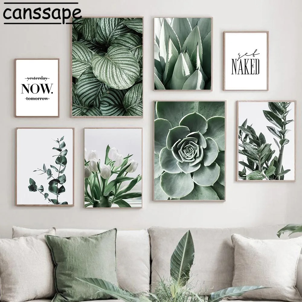 Affiches de plantes succulente - Live Plant Fertilizer avis et prix