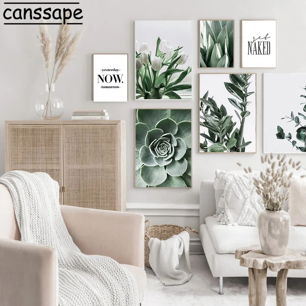 Affiches de plantes succulente - Live Plant Fertilizer avis et prix