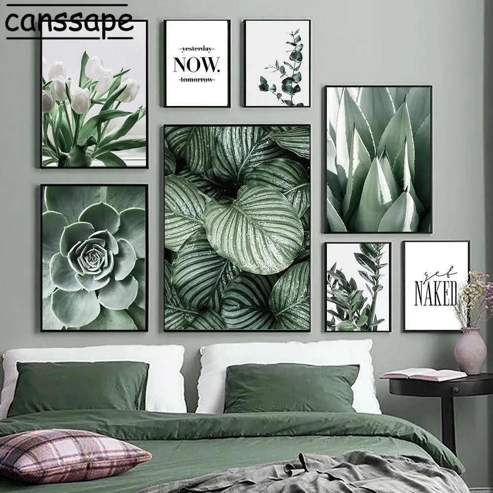 Affiches de plantes succulente - Live Plant Fertilizer avis et prix