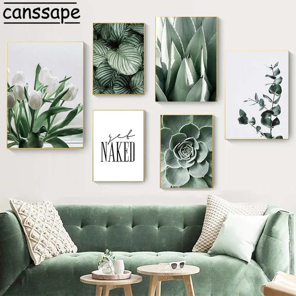 Affiches de plantes succulente - Live Plant Fertilizer avis et prix